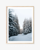 fotografia PLAKAT  zimowy śnieg góry las 2