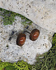 spinki do mankietów Drewniane spinki do mankietów koszuli Piasek pustyni 2