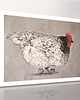 obrazy OBRAZ NA PŁÓTNIE -  70x50cm KURA 3