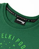 t-shirty dla chłopców Koszulka dziecięca MAŁY WIELKI PODRÓŻNIK zielona 3-4 lata 4