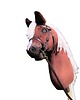 zabawki - inne Hobby horse A3 Haflinger kasztanek koń na kiju 1