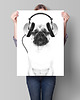 plakaty Plakat - Pies 50x70cm 2