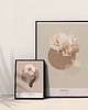 grafiki i ilustracje Ilustracja PEONY 1