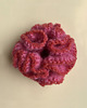 gumki do włosów FIORKA Sweetheart scrunchie 3