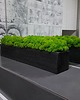 doniczki Doniczka drewniana : chrobotek 40 cm, czarna 5