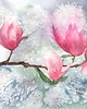 obrazy Akwarela Magnolie oryginalny obraz 300g 23x30 cm 1