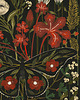 grafiki i ilustracje Night garden, plakat botaniczny, plakat kwiaty, motyl 2