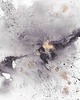 grafiki i ilustracje Plakat ""Explosion in Mind"" 1