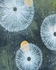 obrazy Sale! Obraz na płótnie 50x60cm. Dmuchawce 2