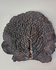 patery i talerze Ceramiczny talerz liść kapusty 2 5