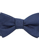 muszki i krawaty MUSCAdarkblue 1