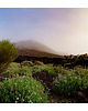 fotografia Wulkan Teide Teneryfa 1