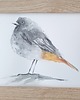 grafiki i ilustracje Akwarela ręcznie malowana "Kopciuszek" 1