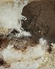 obrazy Obraz strukturalny "Micelium" 1