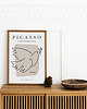 plakaty Plakat Picasso Gołębica Ptak Szkic 4