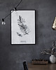 plakaty Plakat PINUS L. / fine Art Print 1
