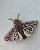 dodatki - różne Motylek Ćma beżowo-brązowa z cekinami mały objekt decoracyjny 1
