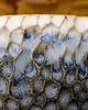 kubki Kubek ceramiczny TSURU 2