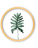 Ozdoby na ścianę Szklany obraz - Filodendron - Wall Me 2