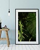plakaty Plakat "Ciemna monstera dziurawa" 1