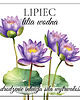 naszyjniki - inne Naszyjnik LIPIEC rubin, lilia wodna 1