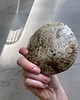 pojemniki na biżuterię Ceramiczna Miseczka Skorupka na Biżuterię Przekąski Przepiórka 4