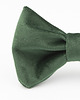 ubranka dla zwierząt Mucha Small Size Green 1