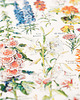 grafiki i ilustracje grafika Fleurs (reprint) 4