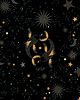 poduszki z grafiką Poduszka dekoracyjna - Ryby - znak zodiaku 4