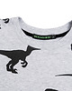 bluzy dla chłopców Szara Bluza w Dinozaury HRSQ KIDS 2