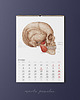 kalendarze i plannery Kalendarz Anatomiczny 2022 1