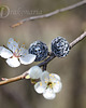kolczyki wire wrapping Fleur de mort 1