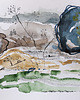 grafiki i ilustracje ORYGINAŁ. Akwarelowy ogród 14 - 20x30cm 1