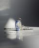 wisiory Lapis lazuli naszyjnik 2