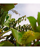 fotografia Egzotyka 1