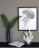 plakaty Plakat Meduza roz. 61x91 cm 5