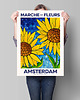 plakaty Plakat botaniczny "Amsterdam" 1