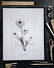 plakaty Jaskry , print 50x70 cm 2