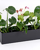 doniczki Donica Rodos na parapet 80 cm 4