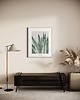 grafiki i ilustracje Agave / Fine art Print 3