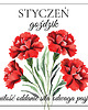 kolczyki pozłacane Goździk STYCZEŃ kolczyki pozłacane wiszące 2