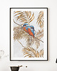 plakaty Plakat Kingfisher Gold Palm 4