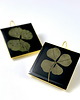 kolczyki z żywicy KOLCZYKI - BLACK Lucky clover (koniczyna) 1