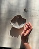 pojemniki na biżuterię Handmade Muszelka na Biżuterię Ceramiczna Rustic Waterfalls 5