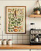 grafiki i ilustracje grafika Legumes et Plantes Potageres (reprint) 1