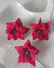 kolczyki z masy plastycznej Zestaw kolczyki i piercionek Kwiat Bożonarodzeniowy Poinsecja 1