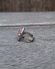 pierścionki - różne Bryłka lodu - pierścionek regulowany 1
