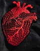naszywki na ubrania Mała naszywka ANATOMICZNE SERCE 1