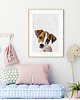 obrazy i plakaty do pokoju dziecięcego Plakat Pies - Jack Russell Terrier 1