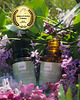 olejki do ciała Wegański olejek do pielęgnacji stóp i paznokci PURE HERBAL óil premium 3